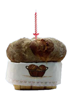 pancino pancino