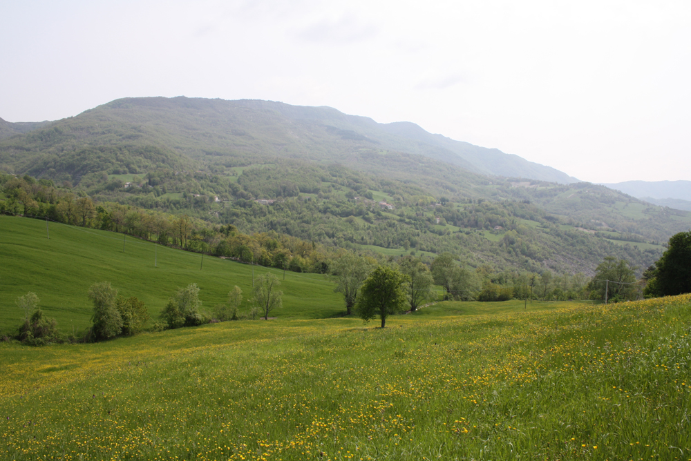 soanne-img_1687-148